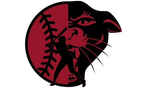 Panther Youth Sports - Winter Baseball Camps